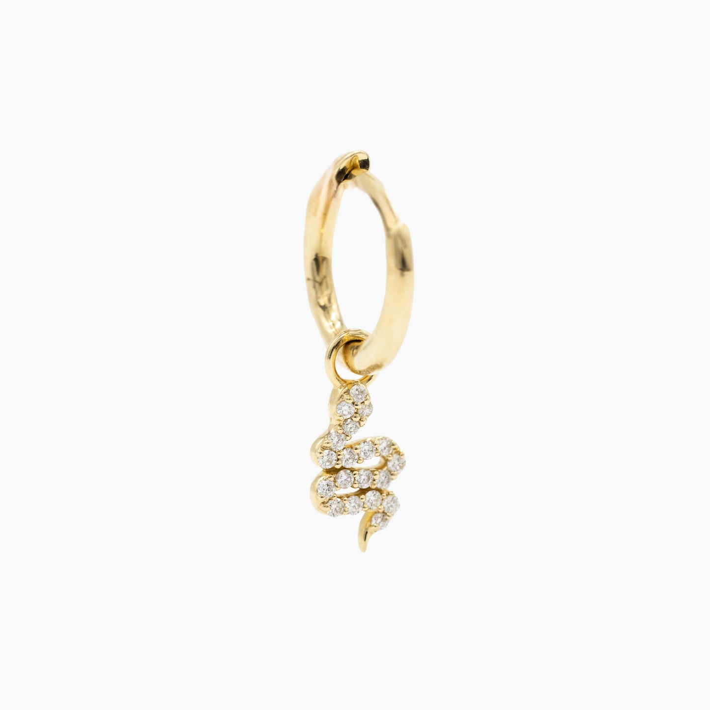 Snake Charm
