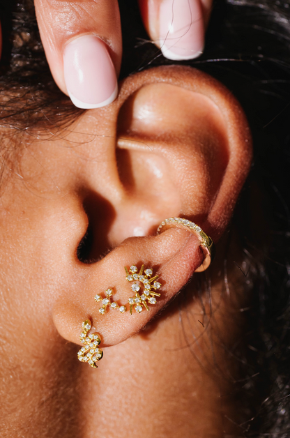 Sparkle Earring
